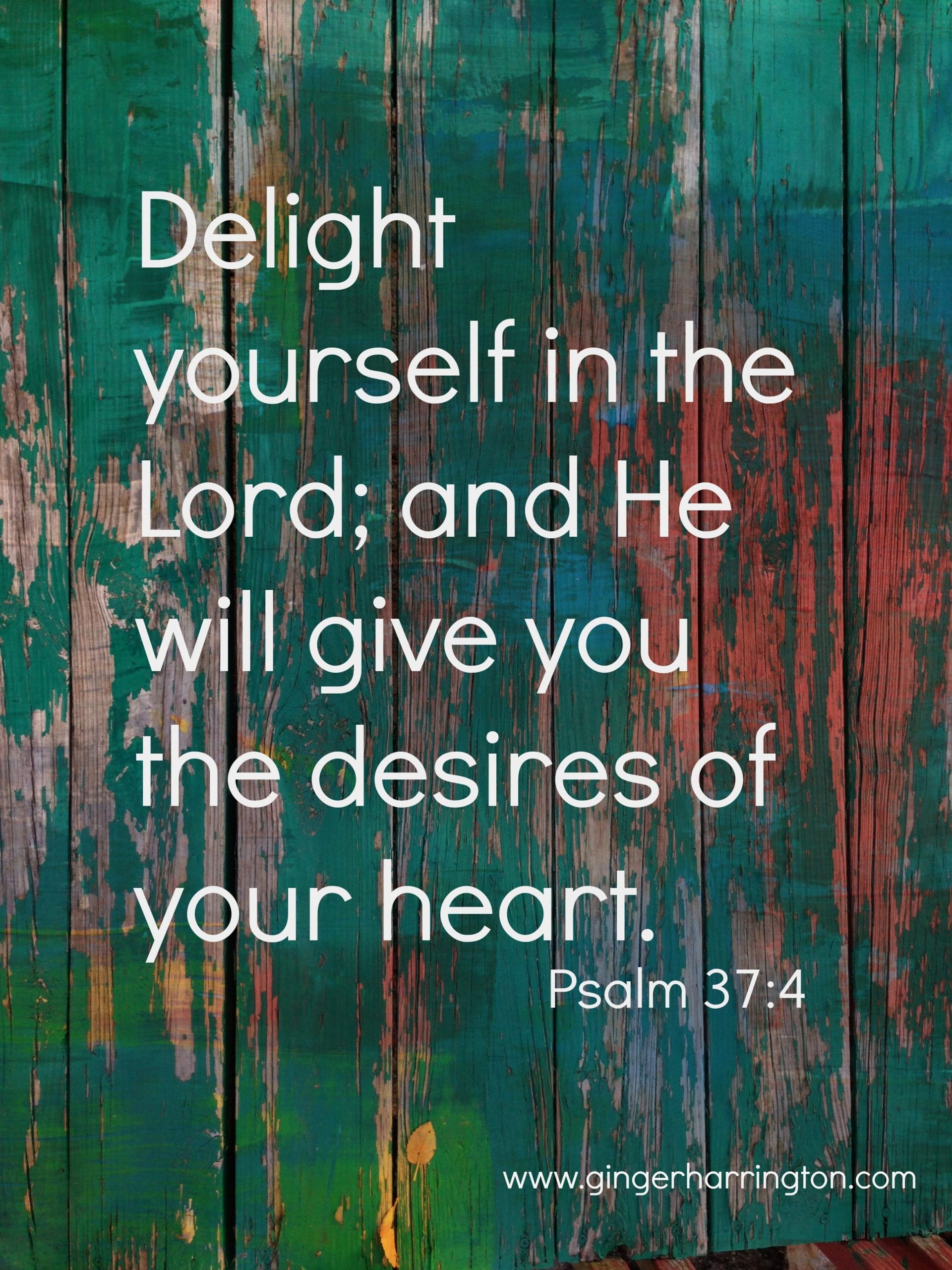How to Make the Most of Each Day This Year: Delighting in God, Part 2