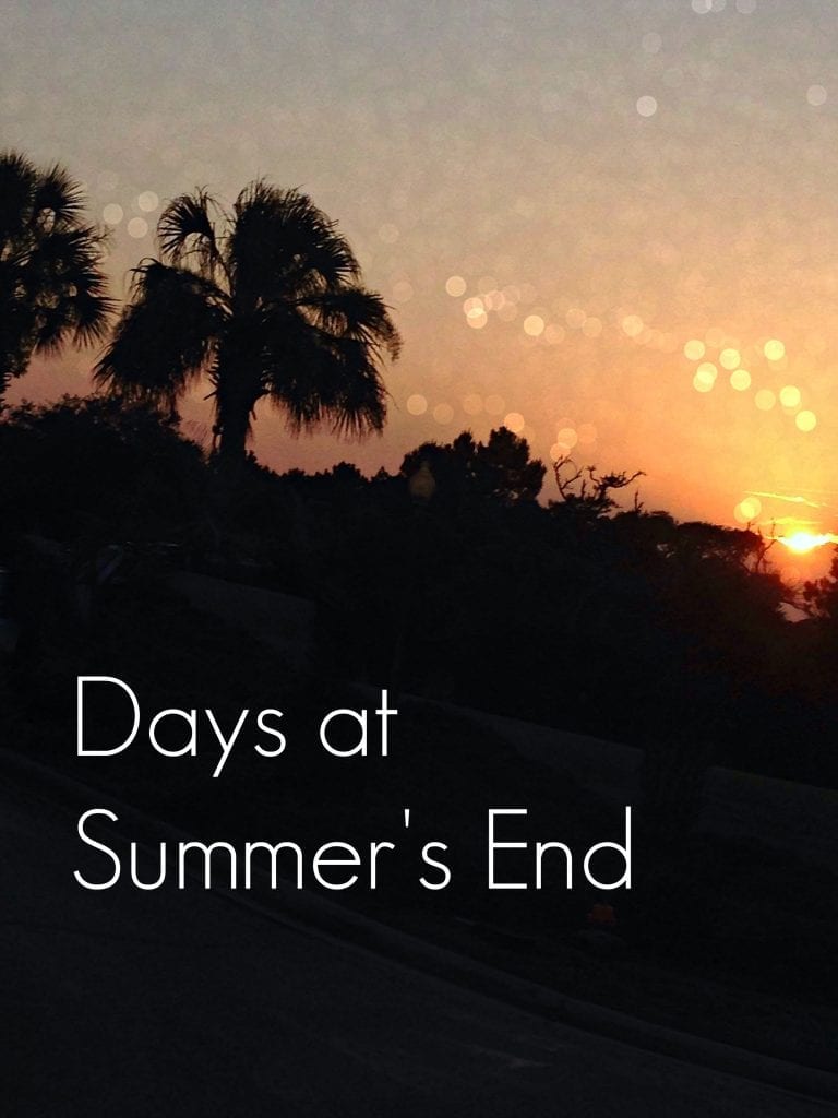 Days at Summer's End | Ginger Harrington