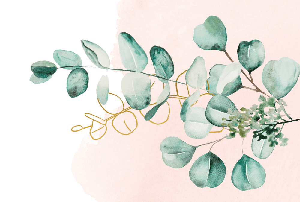 Six Short Devotions to Help You Listen to Jesus