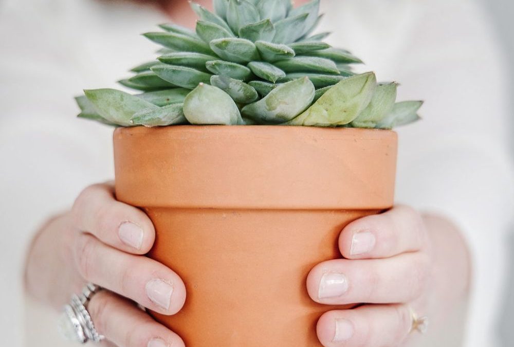 5 Tips to Reset Healthy Habits for Spirit, Soul & Body