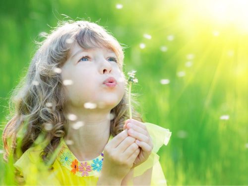 little girl in the grass blows the seeds of a dandylion.