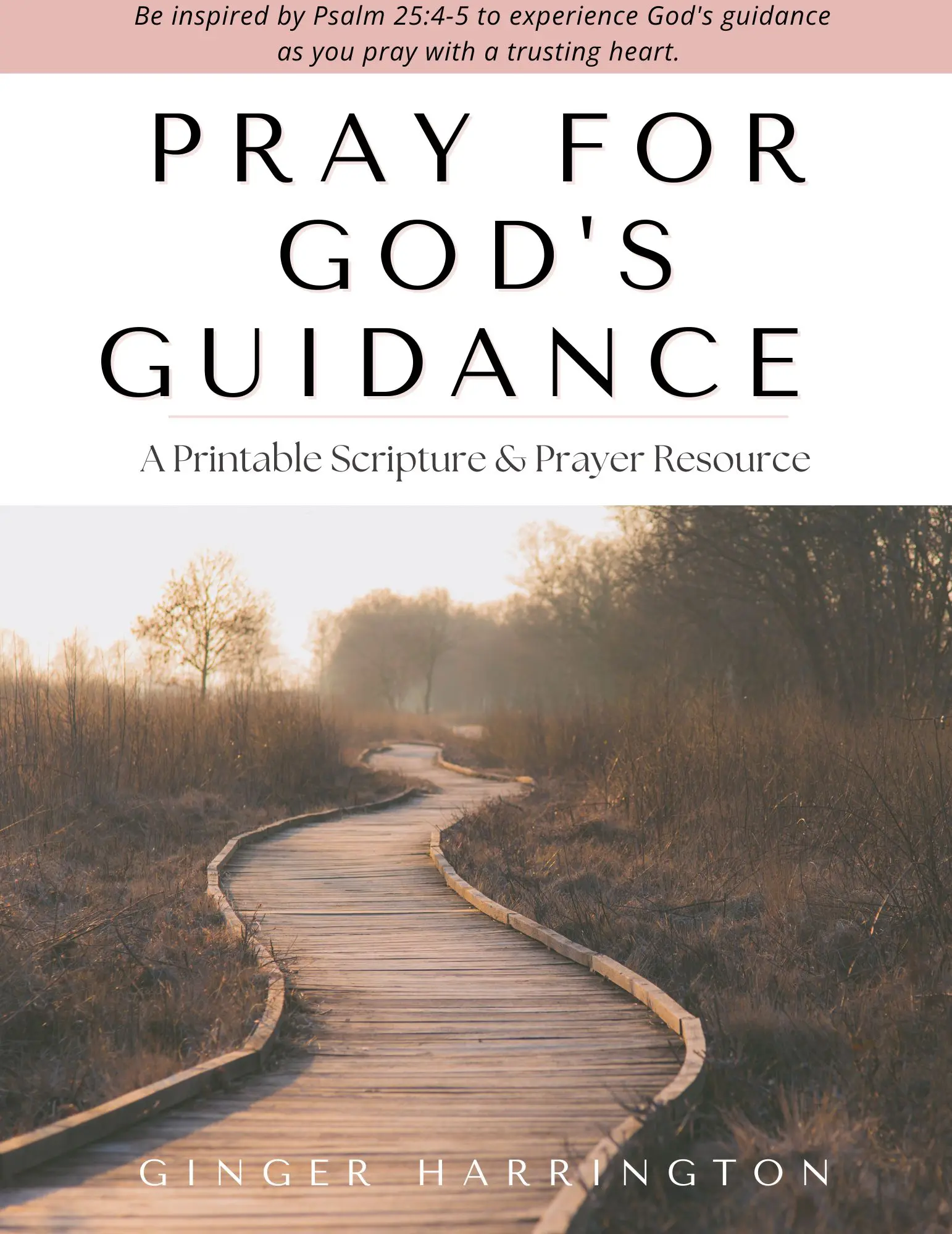 eBook Cover-website-God's Guidance Holy in the Moment Selah Award Finalist