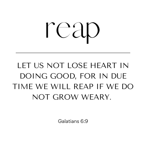 Black text on white background feature Galatians 6:9.
