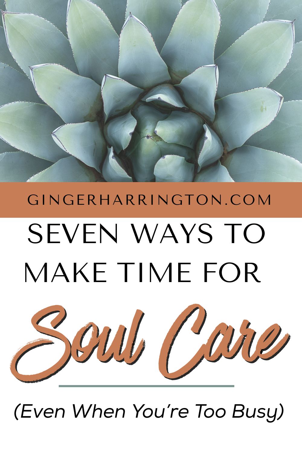 Close up of succulent plant creates a design to illustrate title of post on 7 ways to make time for soul care for busy women