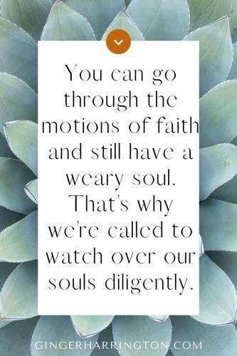 Background for quote on why we should watch over our soul diligently is close up of a succulent plant.