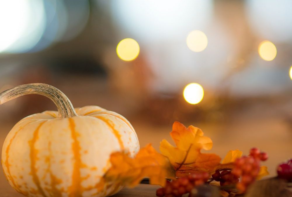 Why Gratitude Matters: How Giving Thanks Transforms Your Life