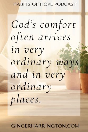 Christian quote graphic with soft window light and plants featuring the quote “God’s comfort often arrives in very ordinary ways and in very ordinary places.”